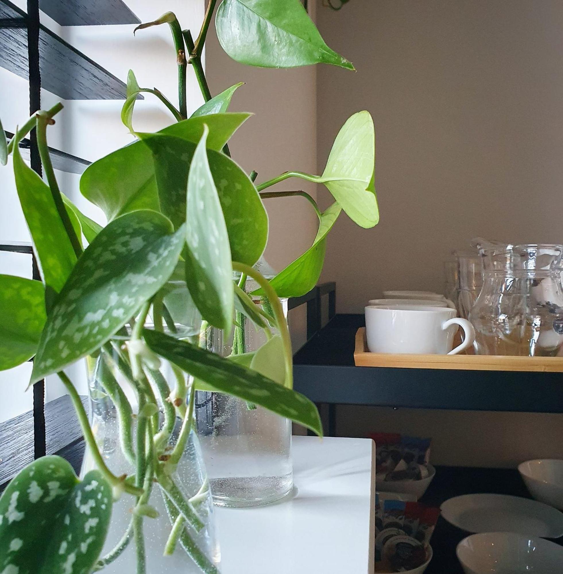 Bed And Breakfast 'Wij En De Zande' - Kamer Met Vide Kamperveen Zewnętrze zdjęcie